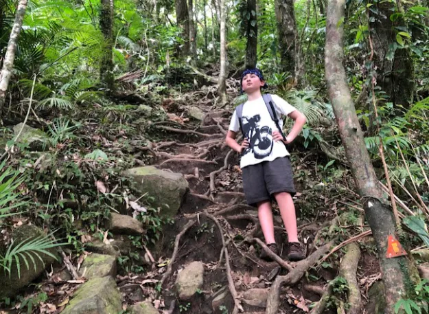 A teenage boy standing on a steep, root-covered forest trail